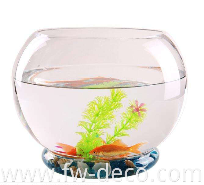 fish bowl